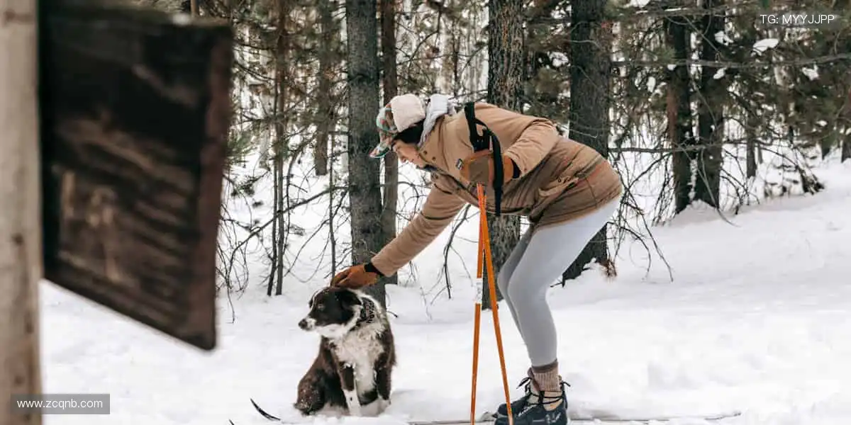🏃‍♂️报名参赛，成就你的体育梦想！